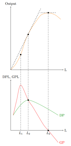 GP und DP.png