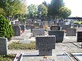 Juedischerfriedhofbern.JPG